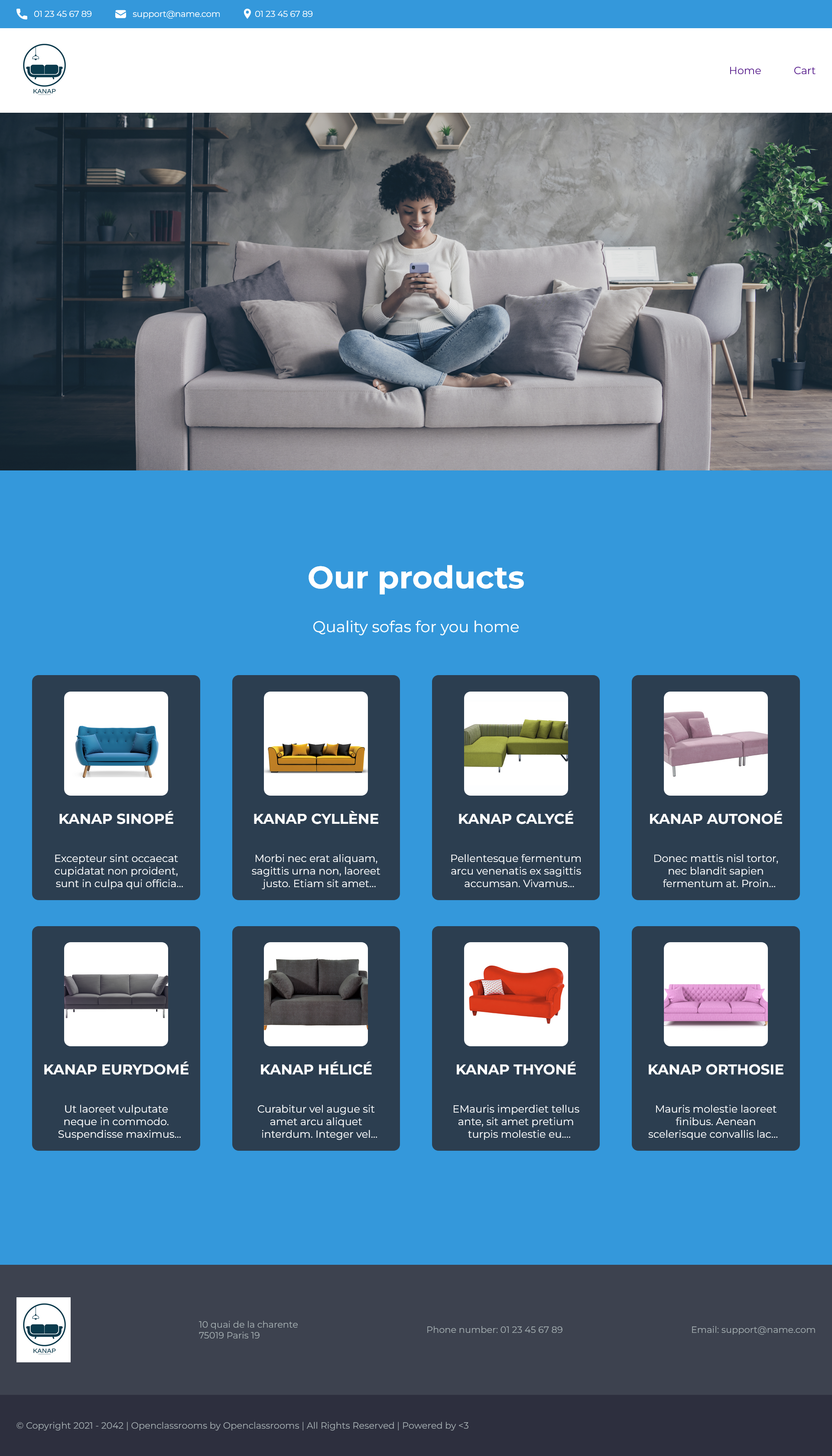 onlineshop